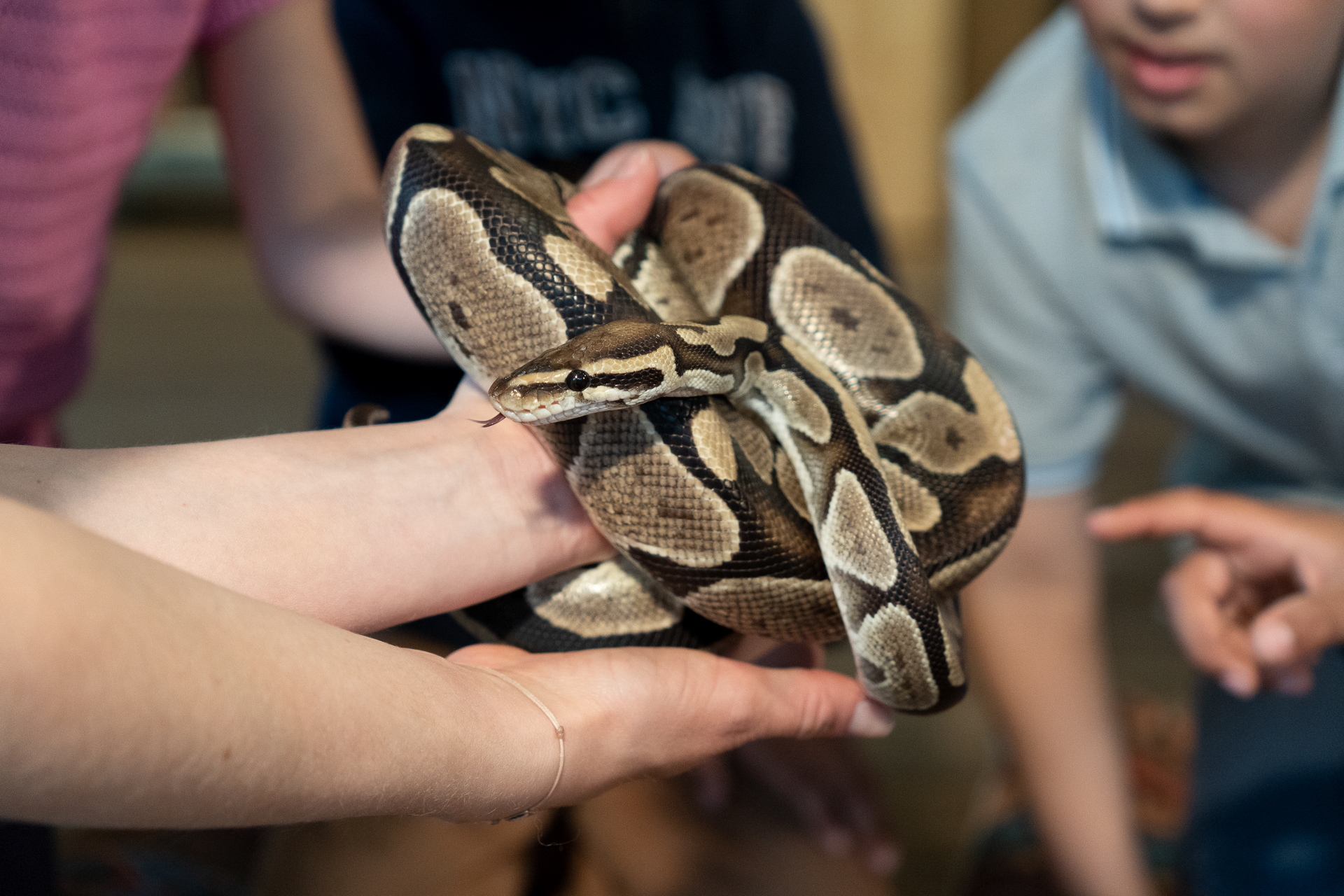 wz_zooschule_2
